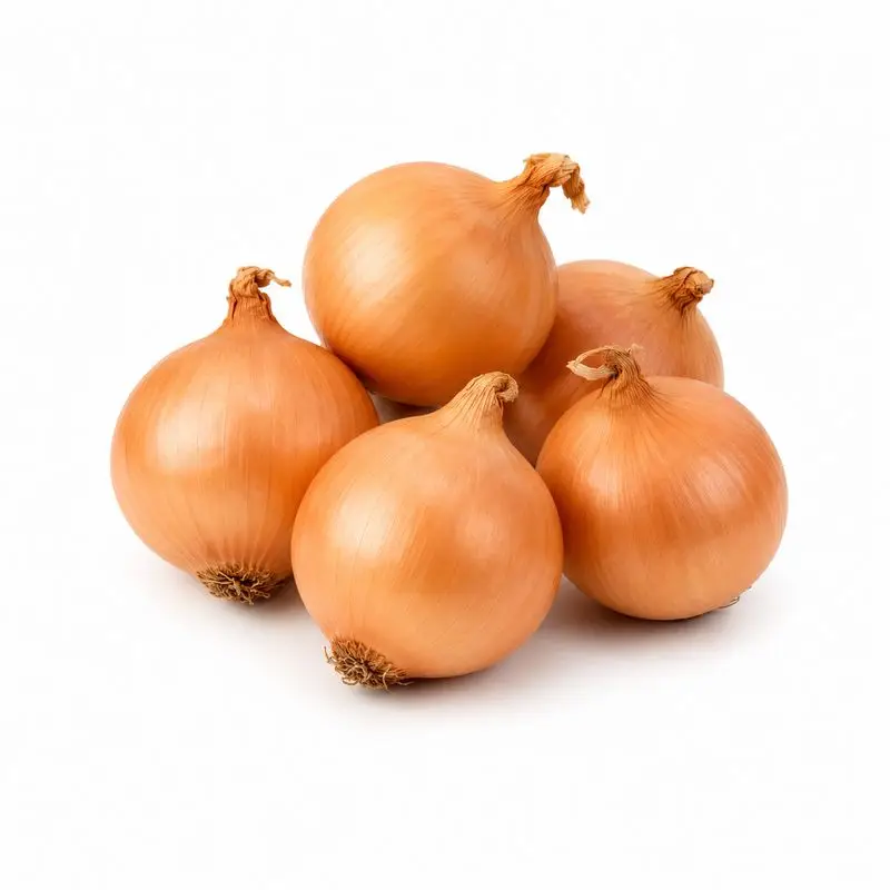 Kuru Soğan