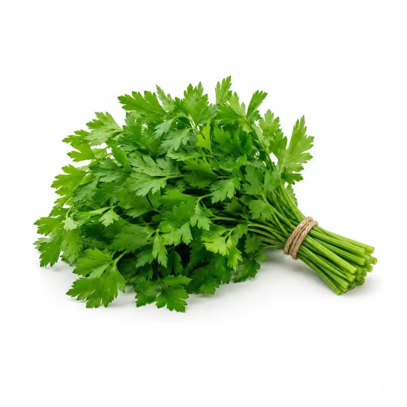 Maydanoz
